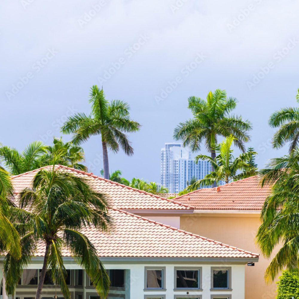 PPC Service Photos - Roof Cleaning 2 - 800x650